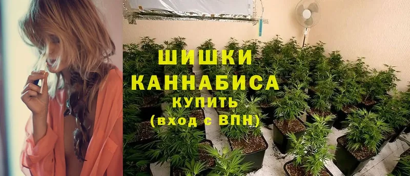 Бошки марихуана OG Kush  Покачи 